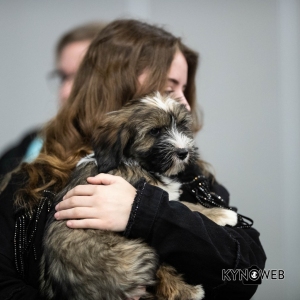 *** Dog Show Eindhoven, 8-9 februari 2020 Venray ***