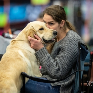 *** Dog Show Eindhoven, 8-9 februari 2020 Venray ***