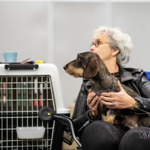 *** Dog Show Eindhoven, 8-9 februari 2020 Venray   ***