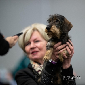 *** Dog Show Eindhoven, 8-9 februari 2020 Venray   ***