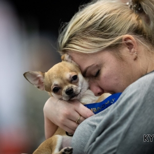 *** Dog Show Eindhoven, 8-9 februari 2020 Venray   ***