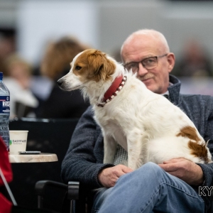 *** Dog Show Eindhoven, 8-9 februari 2020 Venray   ***