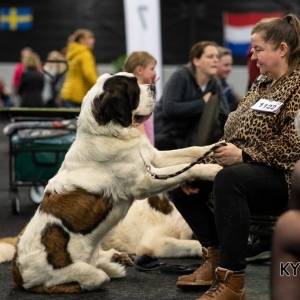 *** Dog Show Eindhoven, 8-9 februari 2020 Venray   ***