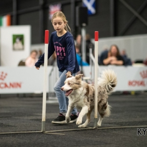 *** Dog Show Eindhoven, 8-9 februari 2020 Venray ***