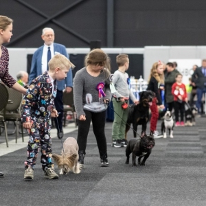 *** Dog Show Eindhoven, 8-9 februari 2020 Venray ***