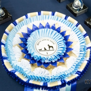 *** Dog Show Eindhoven, 8-9 februari 2020 Venray ***