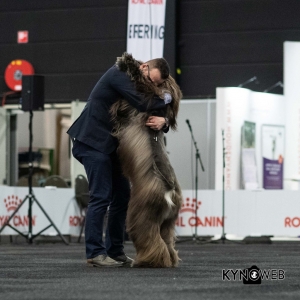 *** Dog Show Eindhoven, 8-9 februari 2020 Venray ***