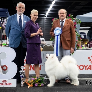 *** Dog Show Eindhoven, 8-9 februari 2020 Venray ***