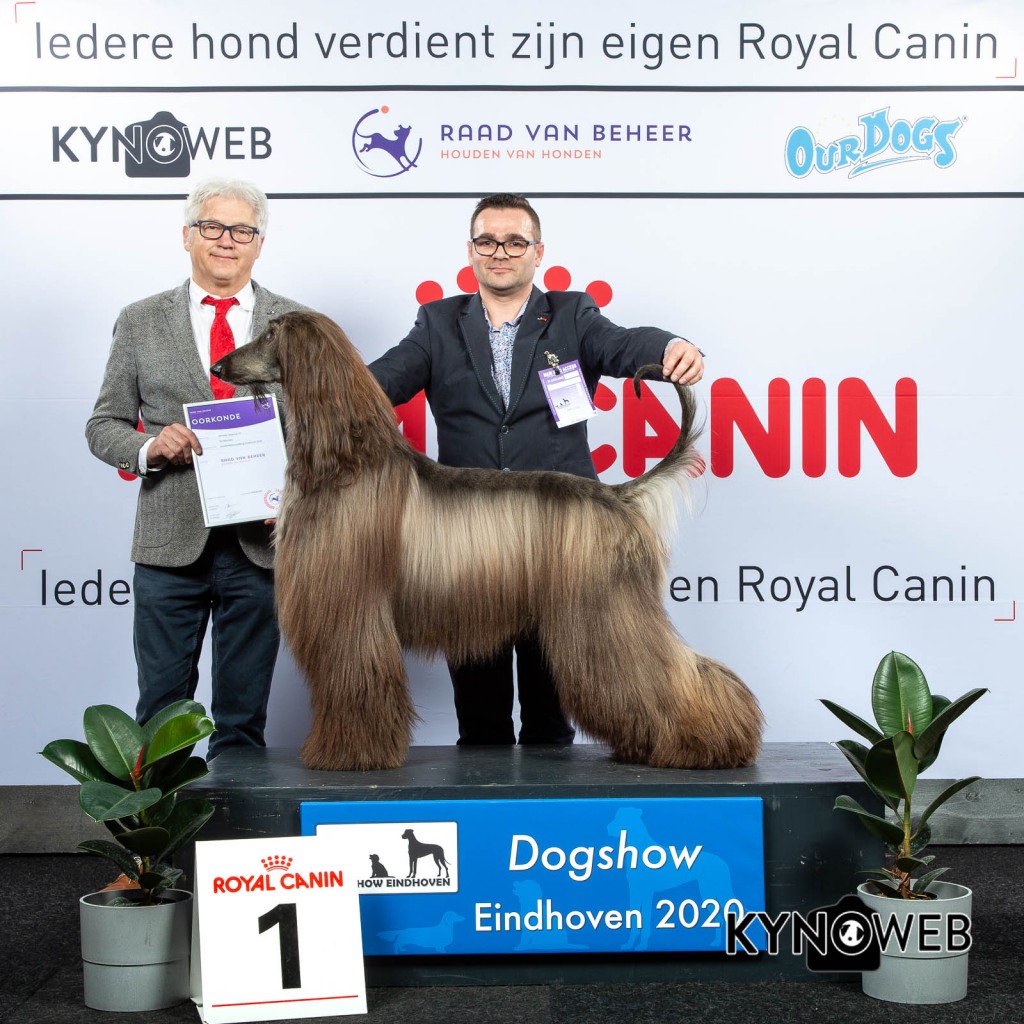 GROUP_10_1_LR_DOGSHOW_EINDHOVEN_2020_KYNOWEB_KY3_2183_20200208_16_06_06