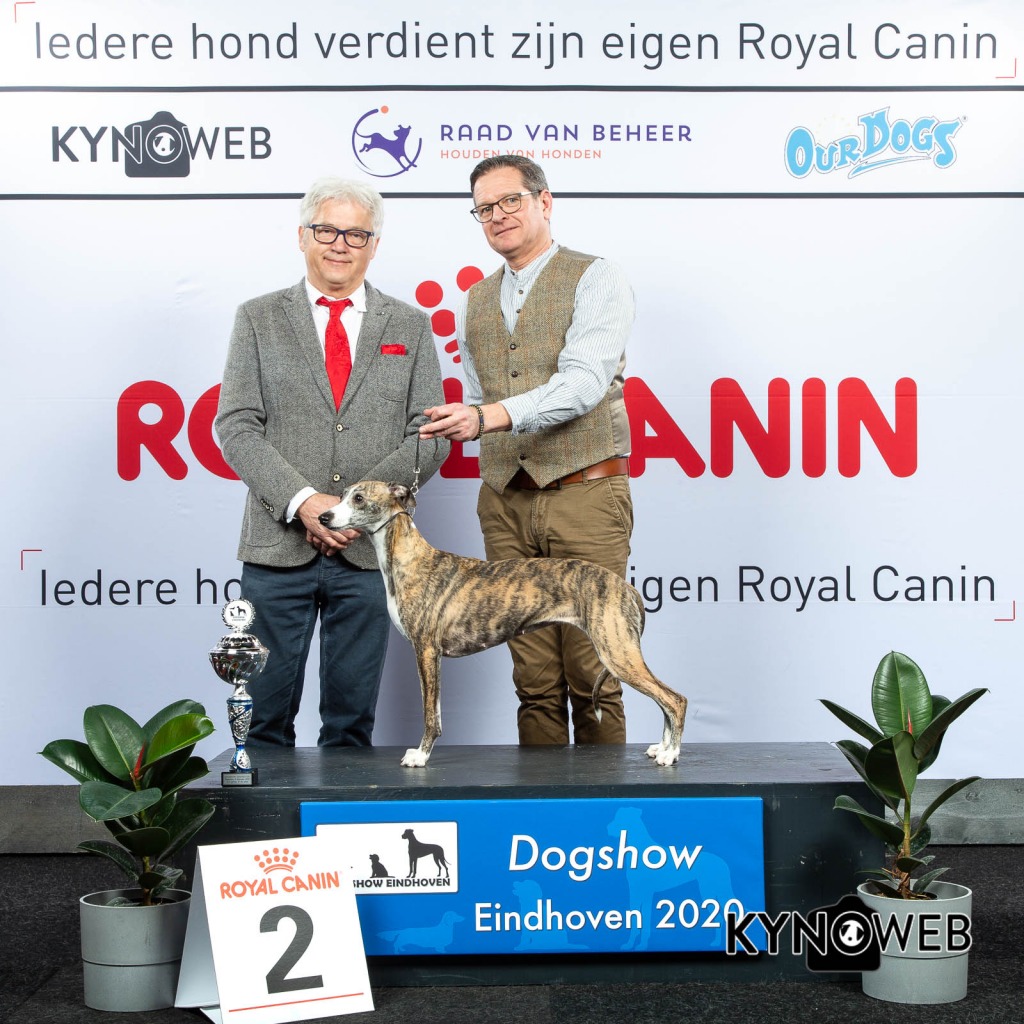 GROUP_10_2_LR_DOGSHOW_EINDHOVEN_2020_KYNOWEB_KY3_2185_20200208_16_07_12