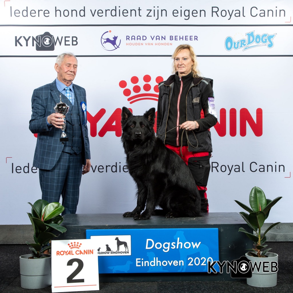 GROUP_1_2_LR_DOGSHOW_EINDHOVEN_2020_KYNOWEB_KY3_2241_20200208_17_04_14