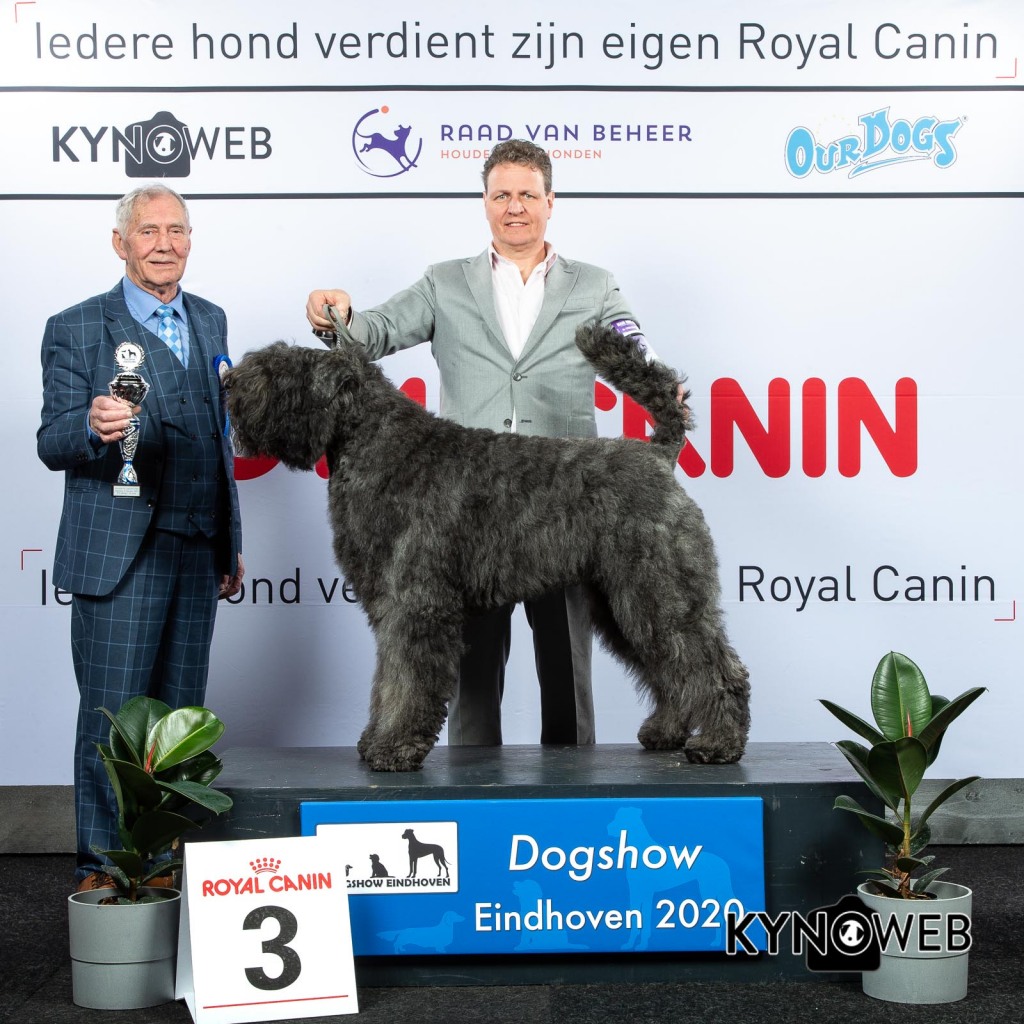 GROUP_1_3_LR_DOGSHOW_EINDHOVEN_2020_KYNOWEB_KY3_2246_20200208_17_06_50