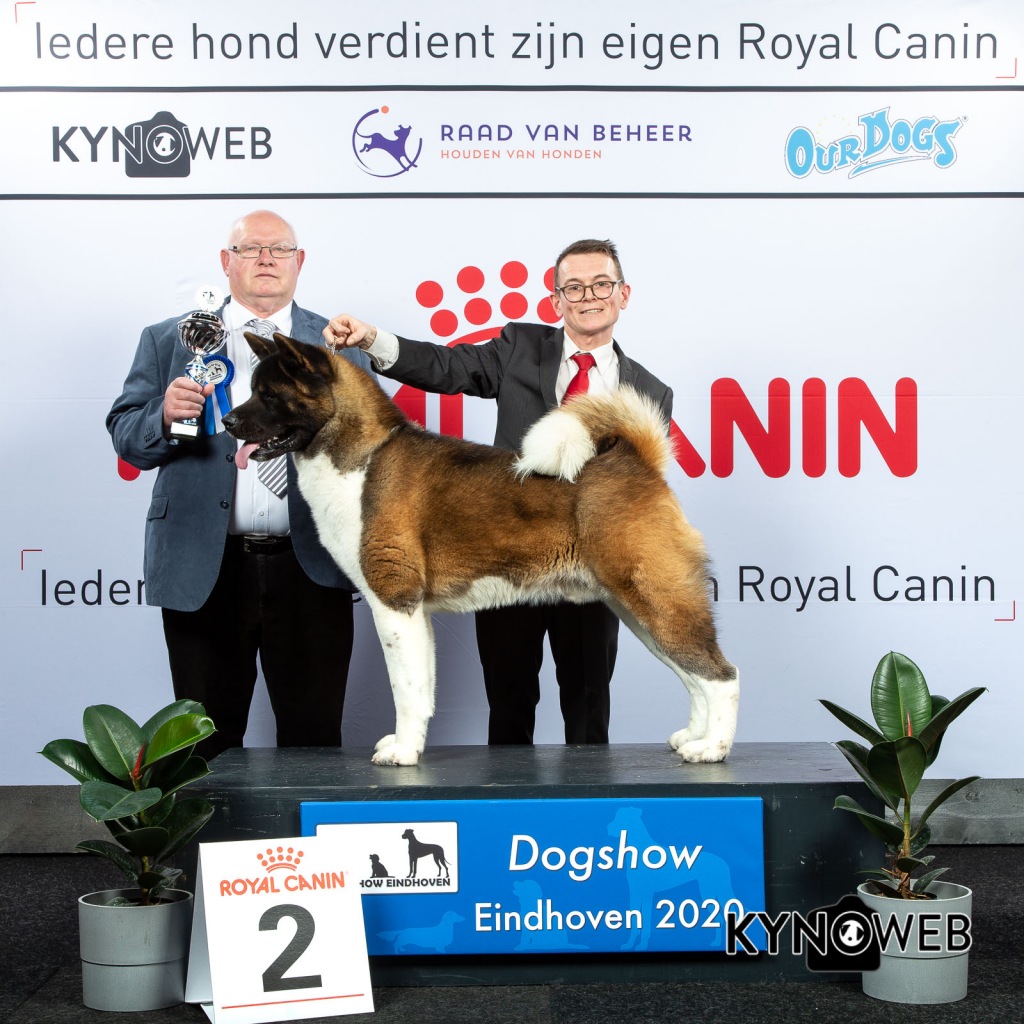 GROUP_5_2_LR_DOGSHOW_EINDHOVEN_2020_KYNOWEB_KY3_2218_20200208_16_39_08