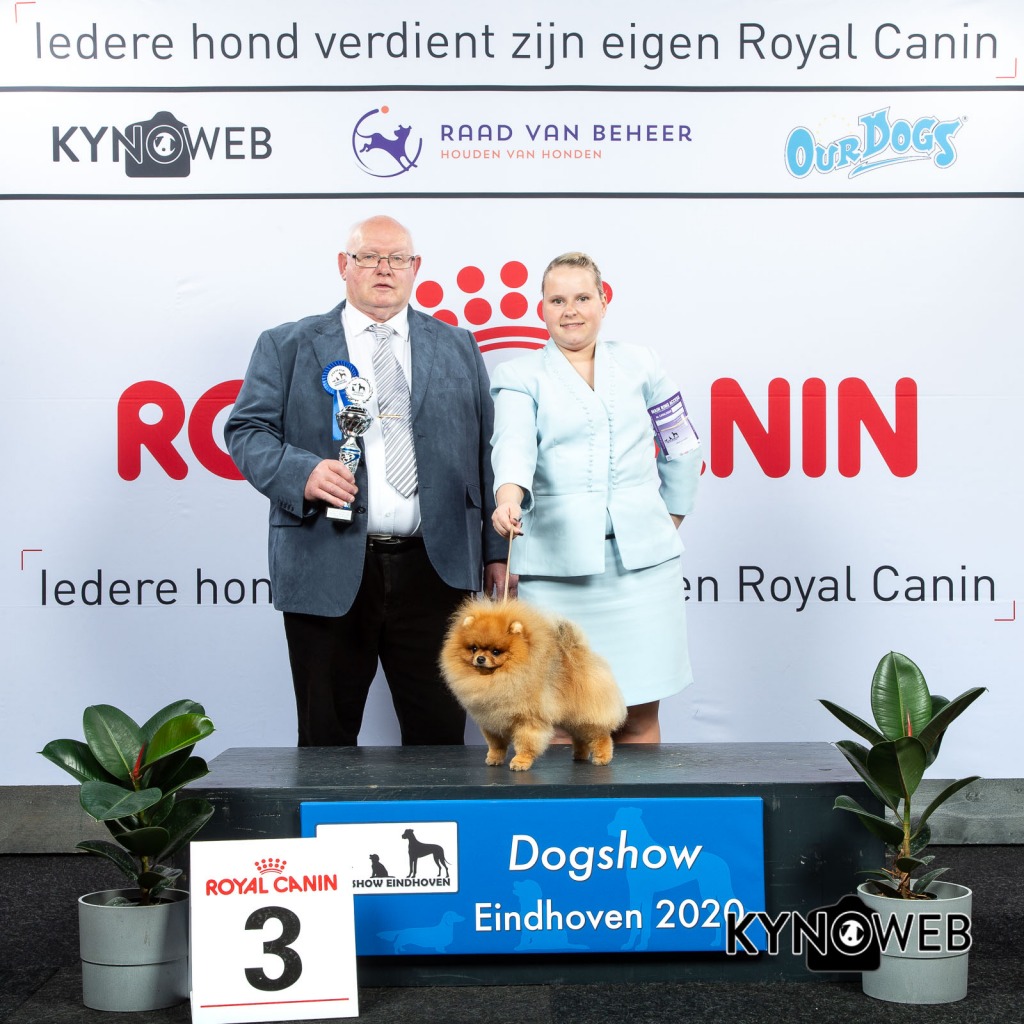 GROUP_5_3_LR_DOGSHOW_EINDHOVEN_2020_KYNOWEB_KY3_2220_20200208_16_40_07