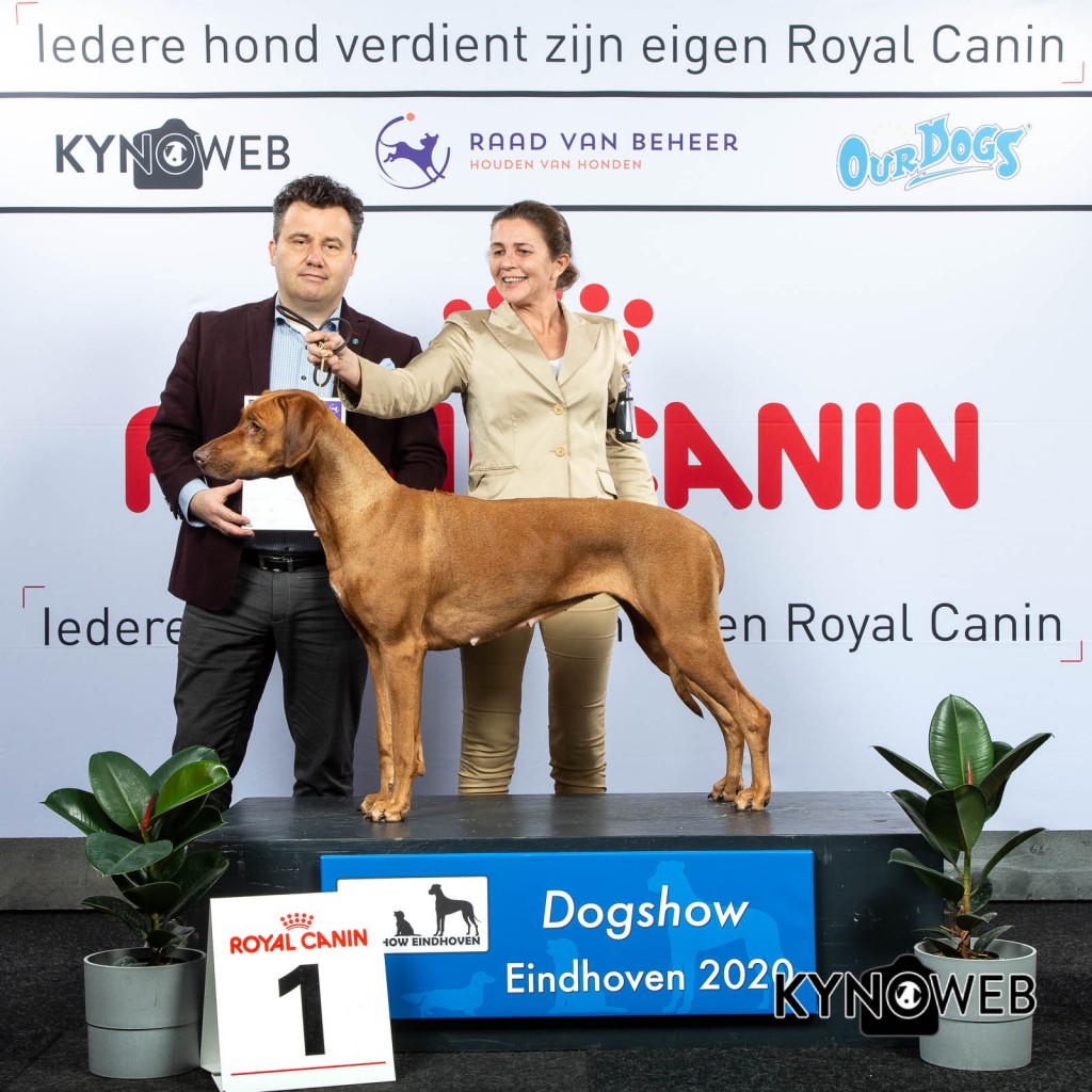 GROUP_6_1_LR_DOGSHOW_EINDHOVEN_2020_KYNOWEB_KY3_2208_20200208_16_27_39
