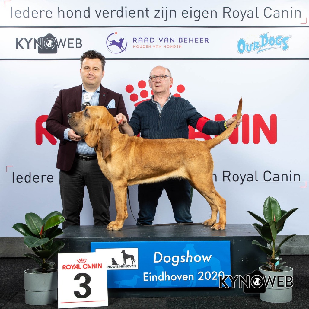 GROUP_6_3_LR_DOGSHOW_EINDHOVEN_2020_KYNOWEB_KY3_2206_20200208_16_26_54