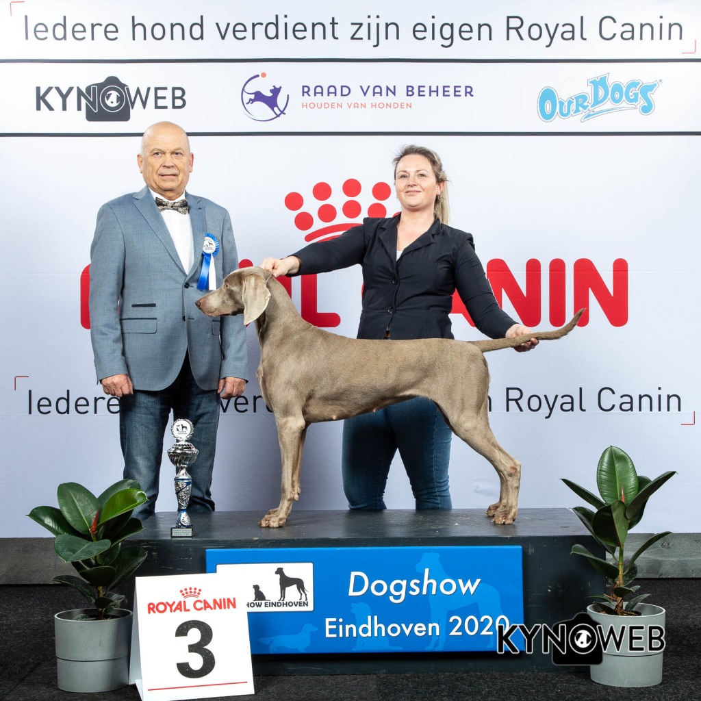 GROUP_7_3_LR_DOGSHOW_EINDHOVEN_2020_KYNOWEB_KY3_2200_20200208_16_21_02