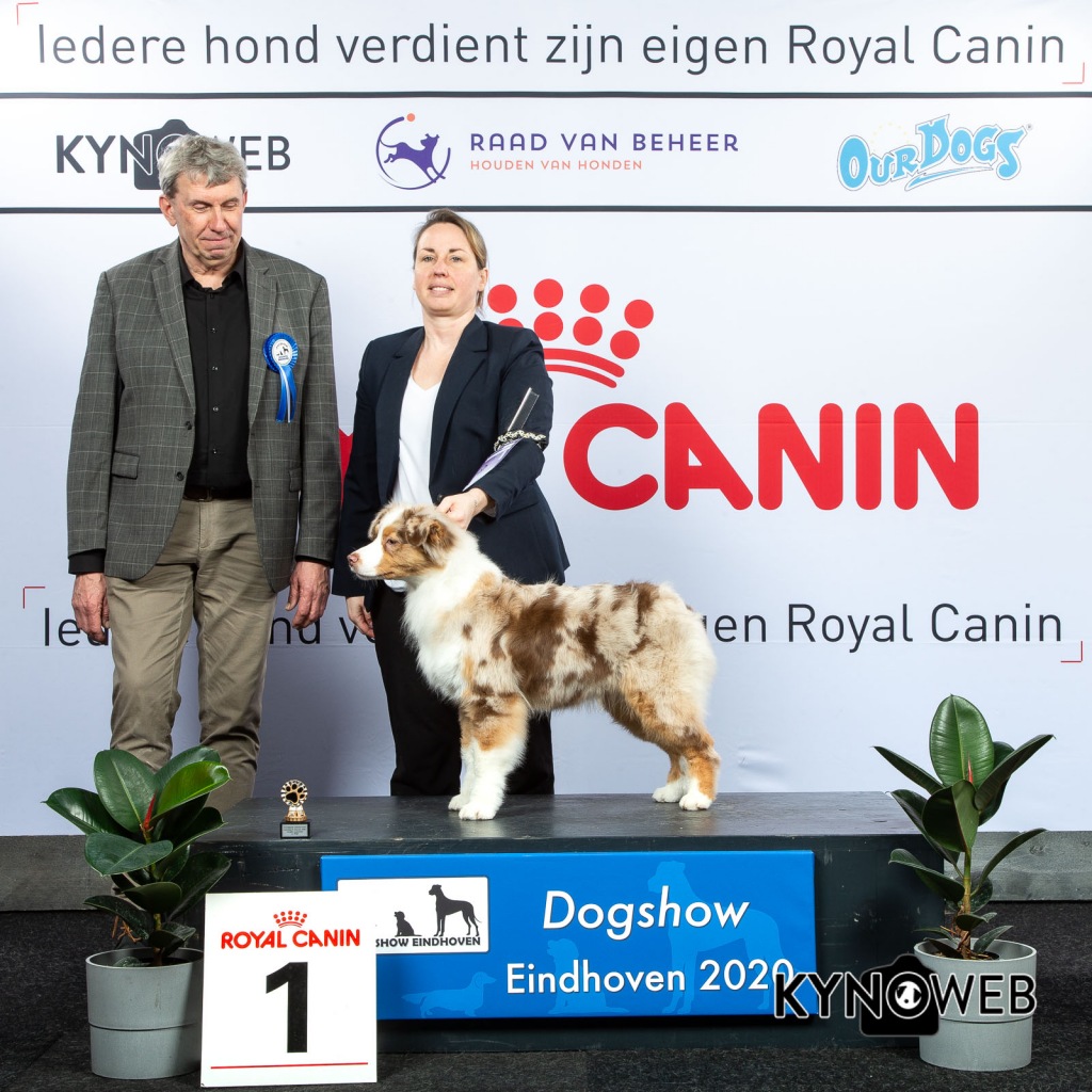J_1_LR_DOGSHOW_EINDHOVEN_2020_KYNOWEB_KY3_2129_20200208_15_20_54