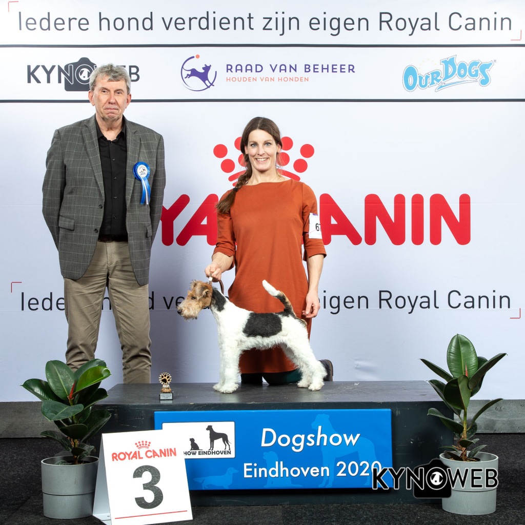 J_3_LR_DOGSHOW_EINDHOVEN_2020_KYNOWEB_KY3_2136_20200208_15_25_10