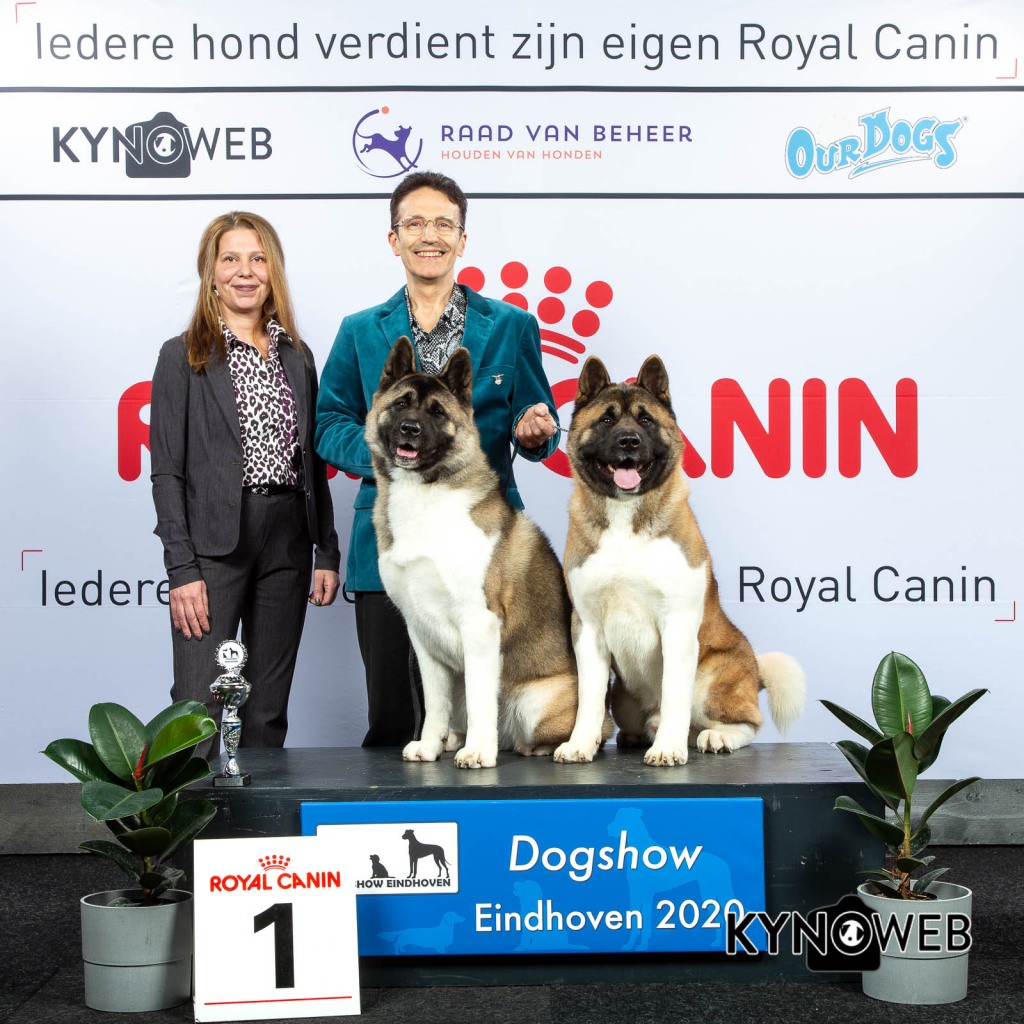 K_1_LR_DOGSHOW_EINDHOVEN_2020_KYNOWEB_KY3_2155_20200208_15_49_42