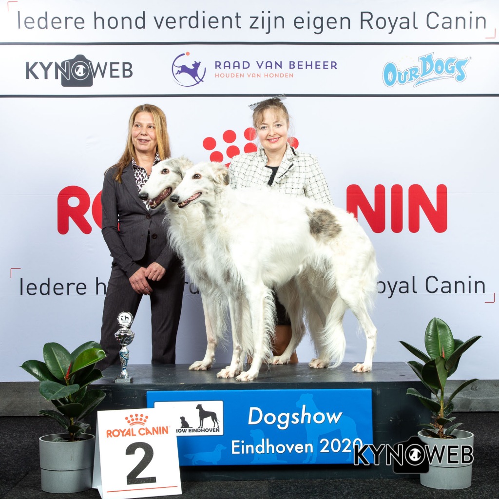 K_2_LR_DOGSHOW_EINDHOVEN_2020_KYNOWEB_KY3_2158_20200208_15_50_56