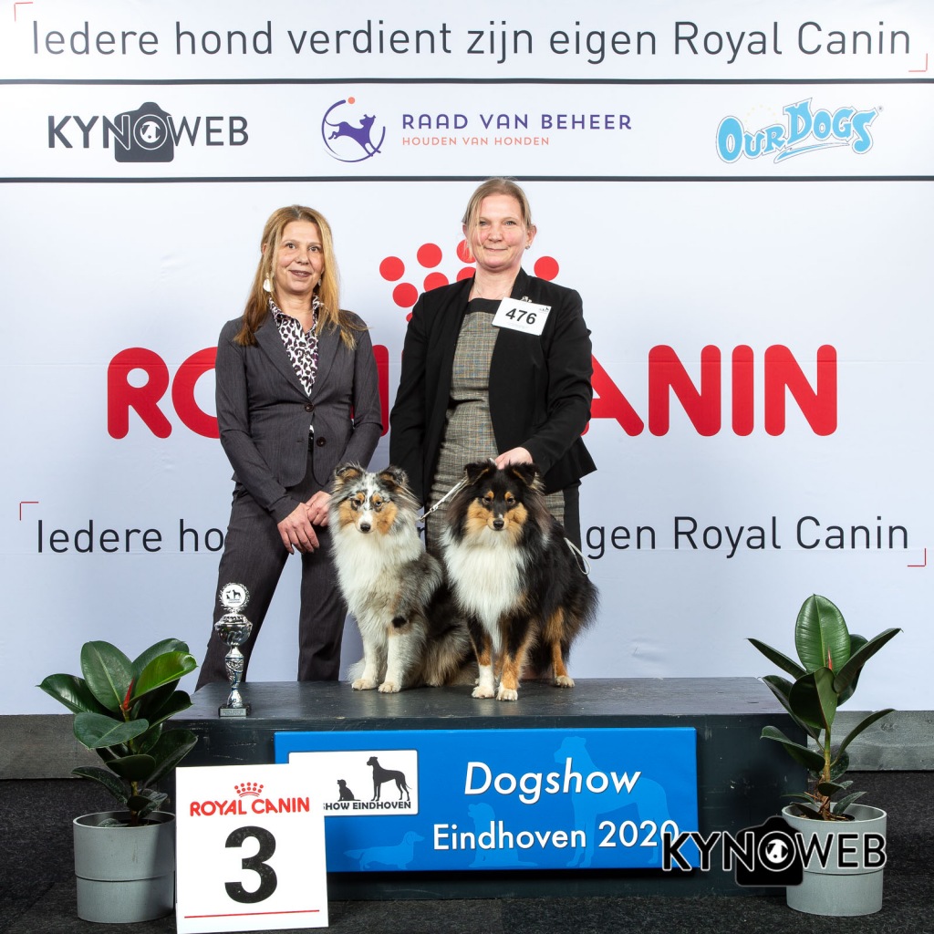 K_3_LR_DOGSHOW_EINDHOVEN_2020_KYNOWEB_KY3_2162_20200208_15_52_55