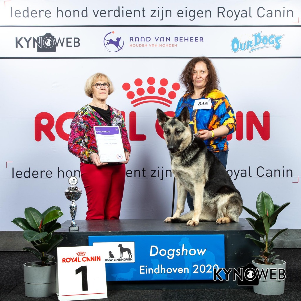 NER_1_LR_DOGSHOW_EINDHOVEN_2020_KYNOWEB_KY3_2175_20200208_15_58_13