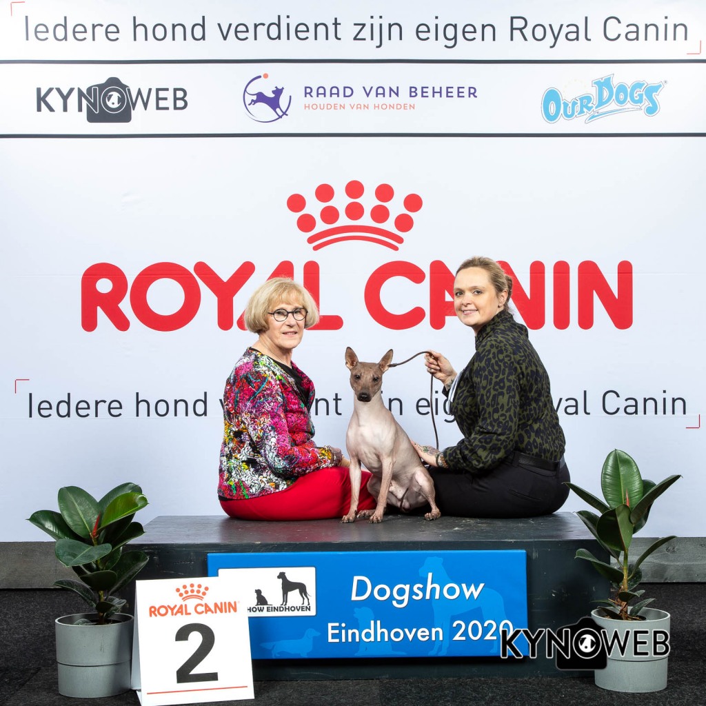 NER_2_LR_DOGSHOW_EINDHOVEN_2020_KYNOWEB_KY3_2177_20200208_15_59_38