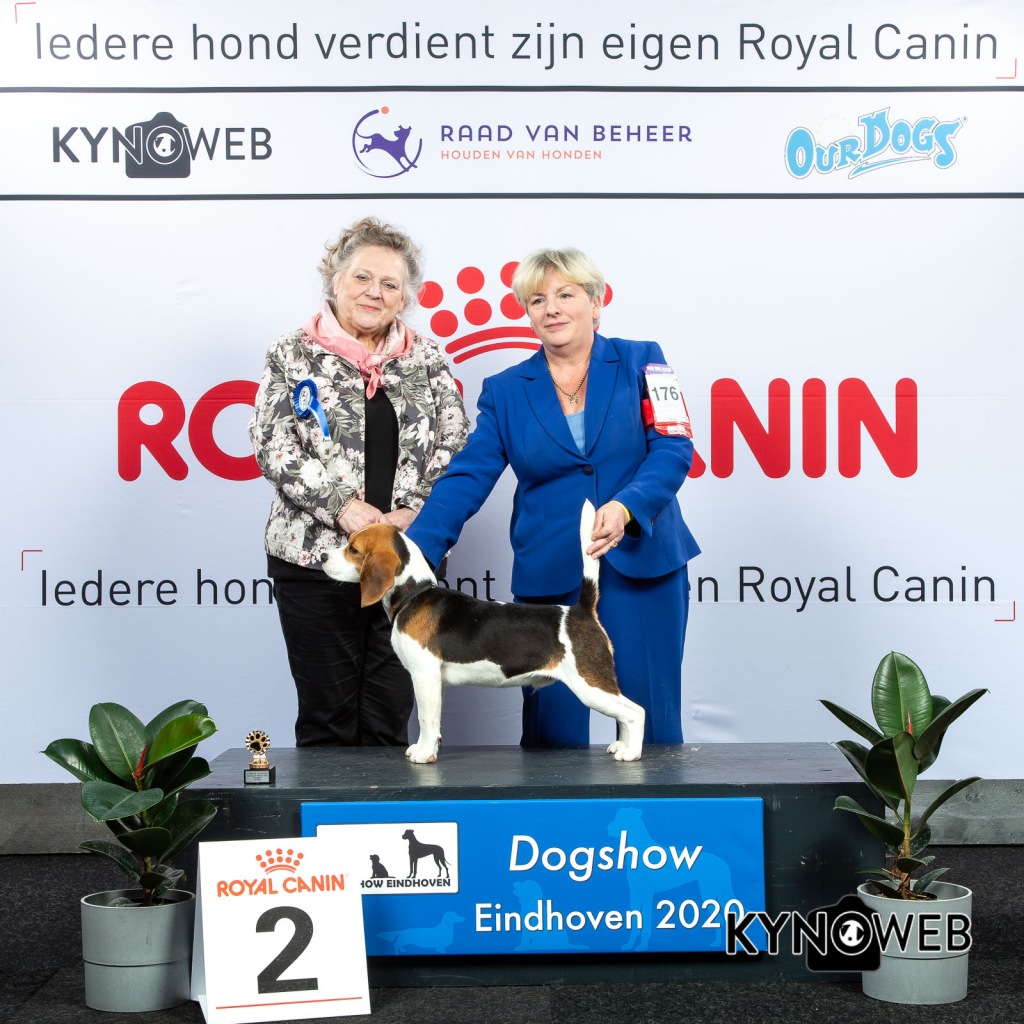 P_2_LR_DOGSHOW_EINDHOVEN_2020_KYNOWEB_KY3_2140_20200208_15_33_20
