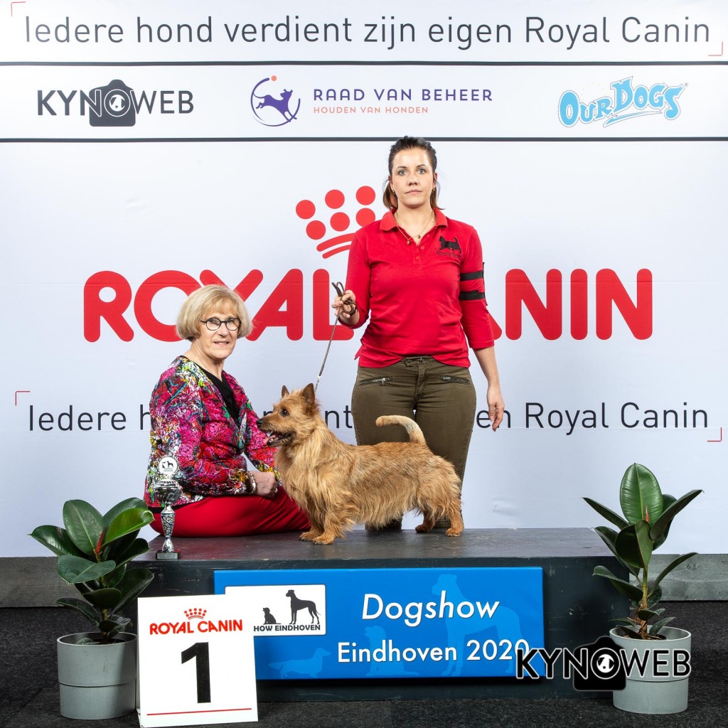 V_1_LR_DOGSHOW_EINDHOVEN_2020_KYNOWEB_KY3_2165_20200208_15_55_16