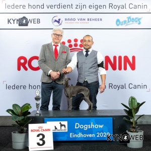 GROUP_10_3_LR_DOGSHOW_EINDHOVEN_2020_KYNOWEB_KY3_2189_20200208_16_08_16