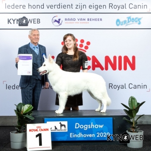 GROUP_1_1_LR_DOGSHOW_EINDHOVEN_2020_KYNOWEB_KY3_2239_20200208_17_02_32