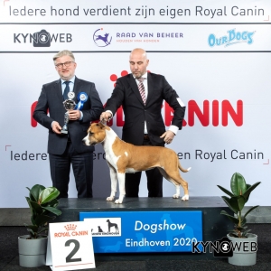 GROUP_3_2_LR_DOGSHOW_EINDHOVEN_2020_KYNOWEB_KY3_2223_20200208_16_48_34