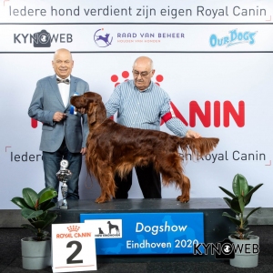 GROUP_7_2_LR_DOGSHOW_EINDHOVEN_2020_KYNOWEB_KY3_2198_20200208_16_20_01