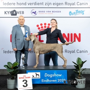 GROUP_7_3_LR_DOGSHOW_EINDHOVEN_2020_KYNOWEB_KY3_2200_20200208_16_21_02