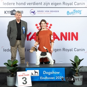 J_3_LR_DOGSHOW_EINDHOVEN_2020_KYNOWEB_KY3_2136_20200208_15_25_10