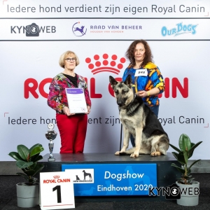 NER_1_LR_DOGSHOW_EINDHOVEN_2020_KYNOWEB_KY3_2175_20200208_15_58_13
