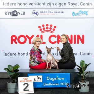 NER_2_LR_DOGSHOW_EINDHOVEN_2020_KYNOWEB_KY3_2177_20200208_15_59_38