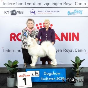 P_1_LR_DOGSHOW_EINDHOVEN_2020_KYNOWEB_KY3_2137_20200208_15_32_11