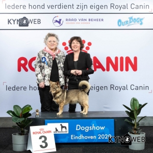 P_3_LR_DOGSHOW_EINDHOVEN_2020_KYNOWEB_KY3_2142_20200208_15_34_39