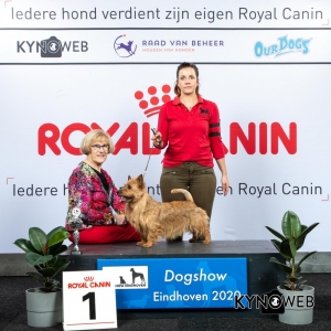 V_1_LR_DOGSHOW_EINDHOVEN_2020_KYNOWEB_KY3_2165_20200208_15_55_16