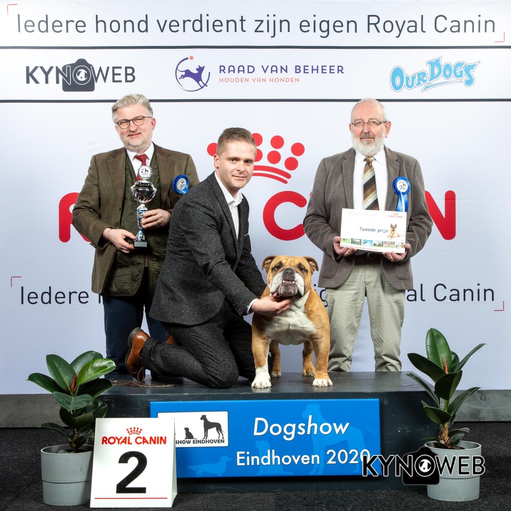 GROUP_2_2_LR_DOGSHOW_EINDHOVEN_2020_KYNOWEB_KY3_2816_20200209_16_12_38