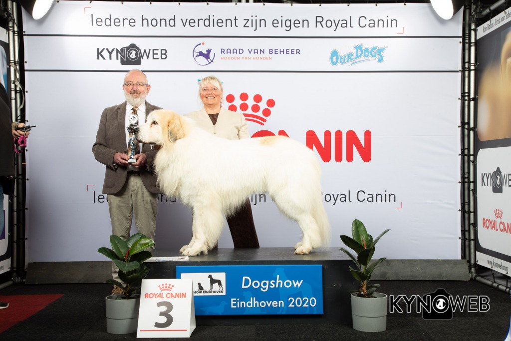GROUP_2_3_LR_DOGSHOW_EINDHOVEN_2020_KYNOWEB_KY3_2820_20200209_16_15_28