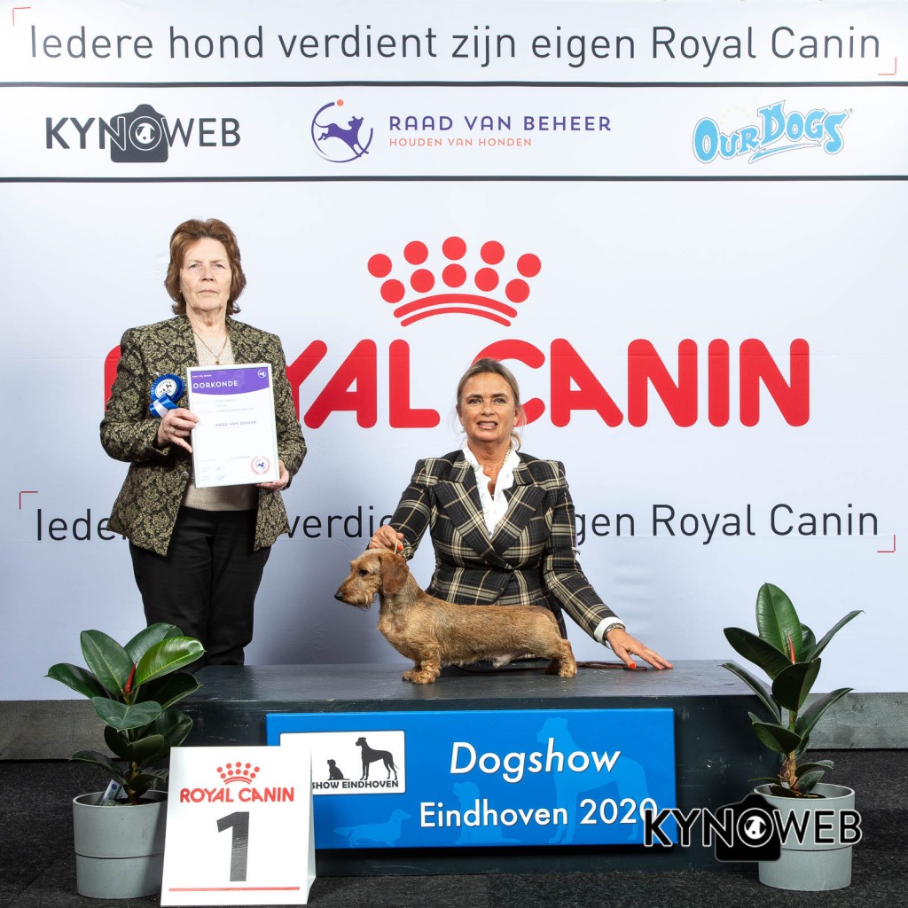 GROUP_4_1_LR_DOGSHOW_EINDHOVEN_2020_KYNOWEB_KY3_2767_20200209_15_36_11