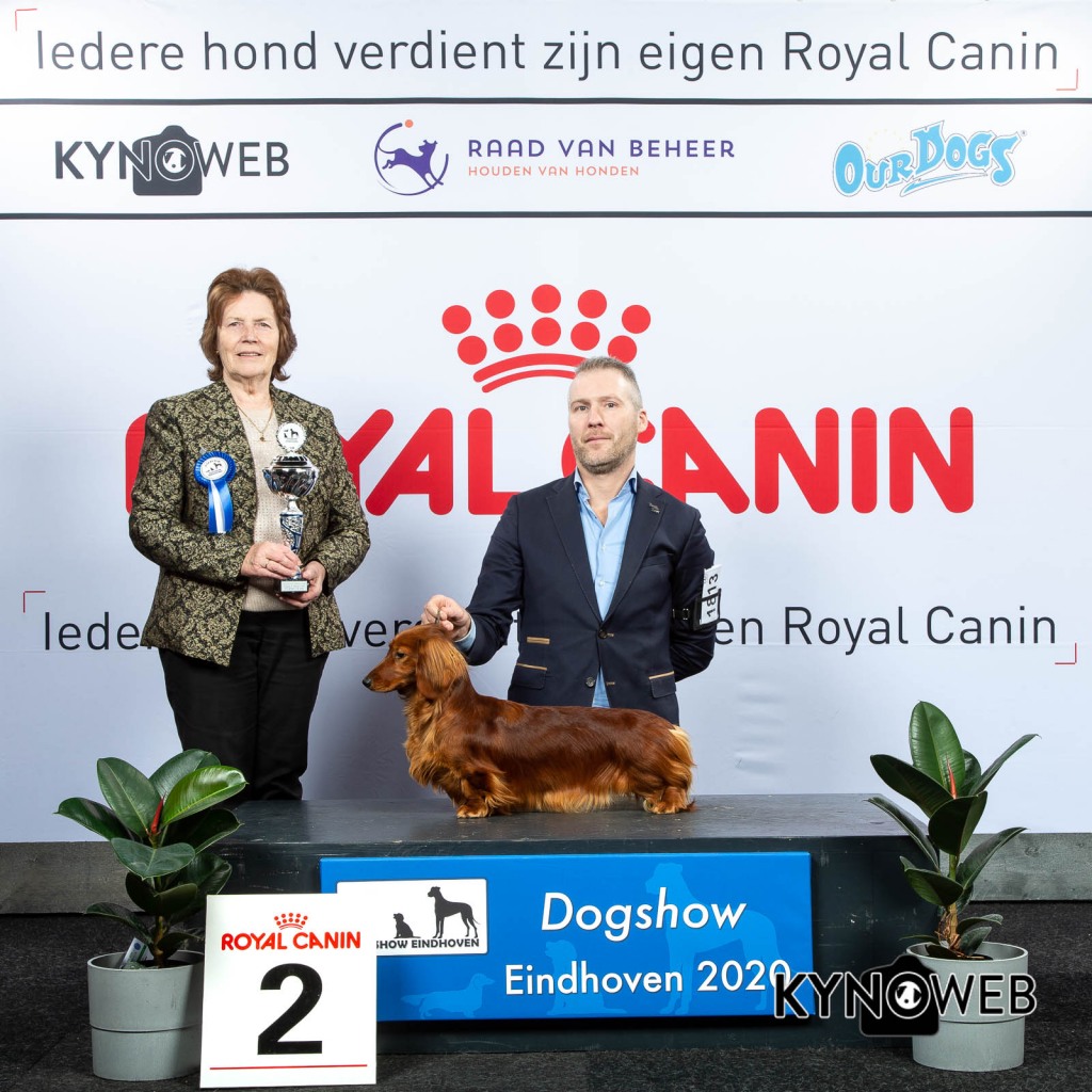 GROUP_4_2_LR_DOGSHOW_EINDHOVEN_2020_KYNOWEB_KY3_2770_20200209_15_37_06