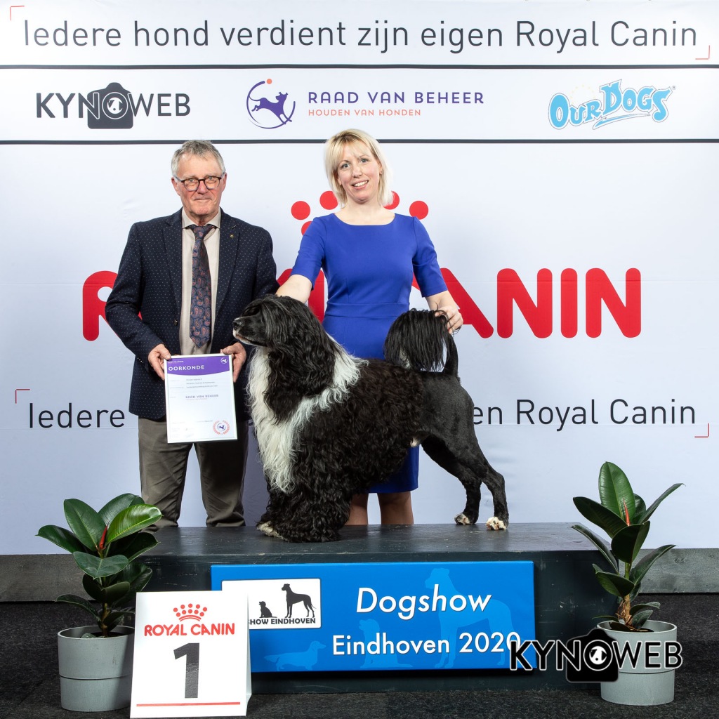 GROUP_8_1_LR_DOGSHOW_EINDHOVEN_2020_KYNOWEB_KY3_2775_20200209_15_47_03