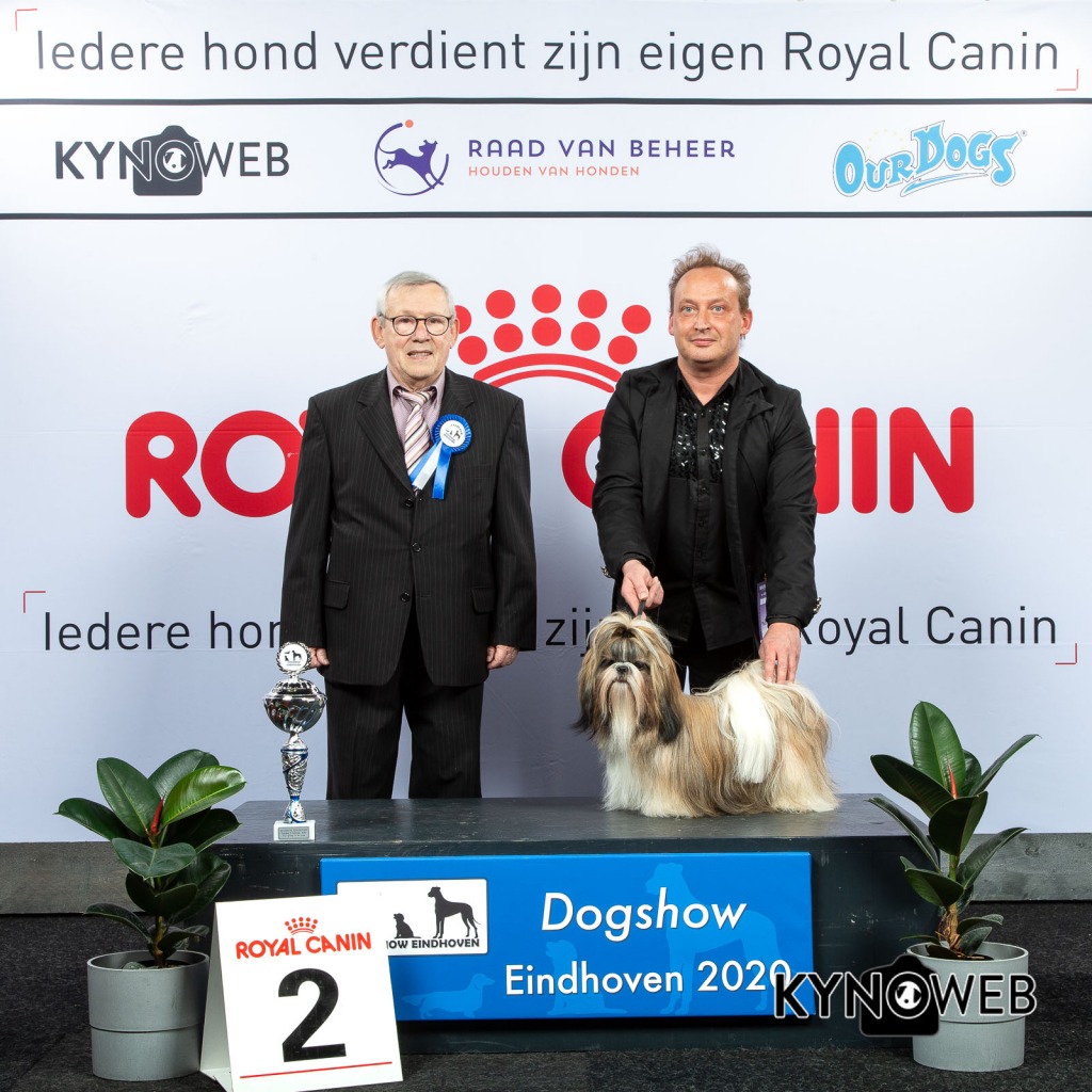 GROUP_9_2_LR_DOGSHOW_EINDHOVEN_2020_KYNOWEB_KY3_2796_20200209_15_57_36