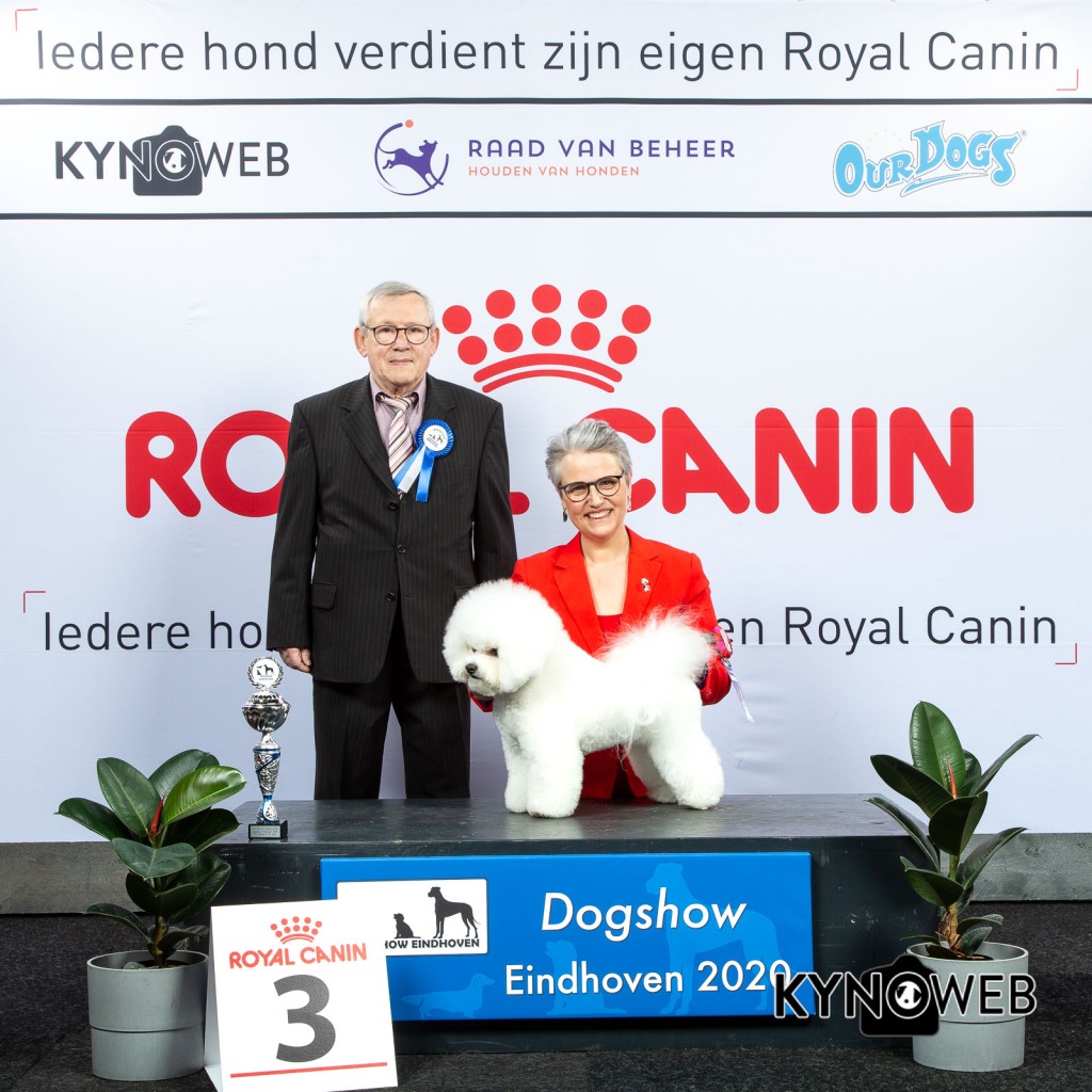 GROUP_9_3_LR_DOGSHOW_EINDHOVEN_2020_KYNOWEB_KY3_2800_20200209_15_58_31