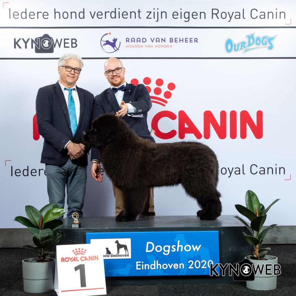 J_1_LR_DOGSHOW_EINDHOVEN_2020_KYNOWEB_KY3_2708_20200209_15_02_34