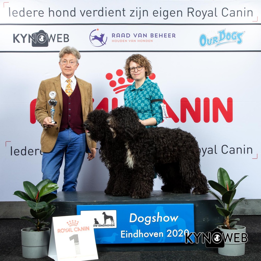 K_1_LR_DOGSHOW_EINDHOVEN_2020_KYNOWEB_KY3_2758_20200209_15_26_49